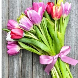 Silent show low starts